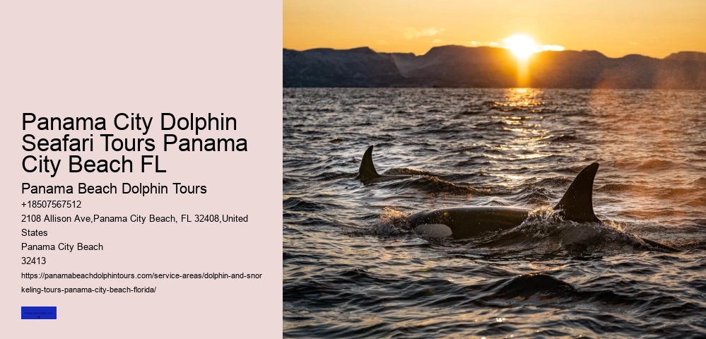 Panama City Beach Boat Tours To Shell Island