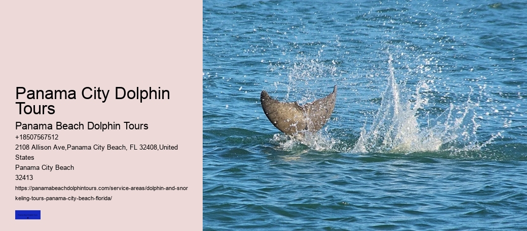 Why Do Dolphins Swim Near Shores