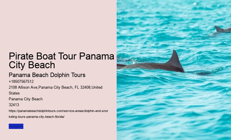 Six Reasons Why You Should Not Swim With Wild Spinner Dolphins