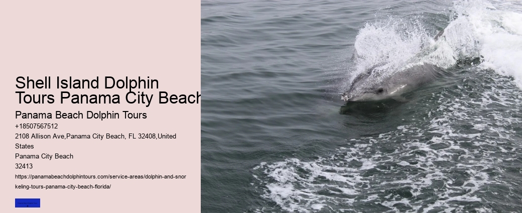 How Much Does It Cost To Swim With Dolphins In Panama City Beach