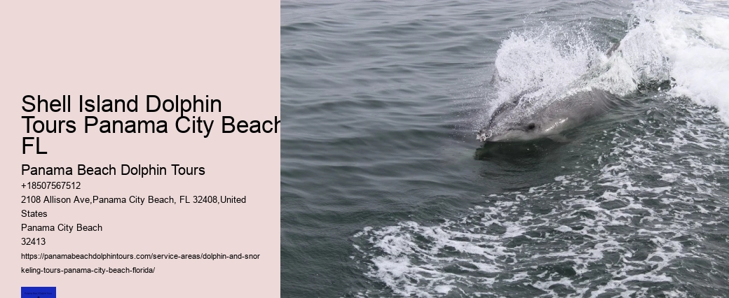 Shell Island Dolphin Tours Panama City Beach FL