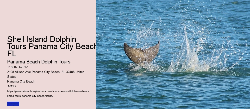 Who Is Dolphin 3-6