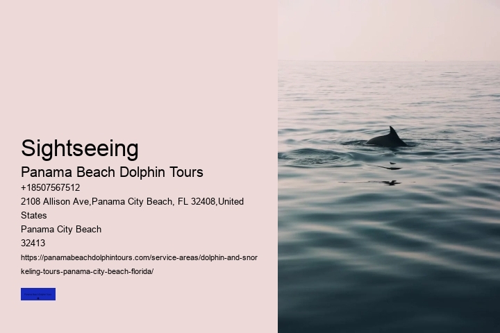 Why Do Dolphins Come Close To Shore In The Morning
