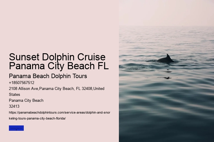 Dolphin And Snorkeling Tours In Panama City Beach