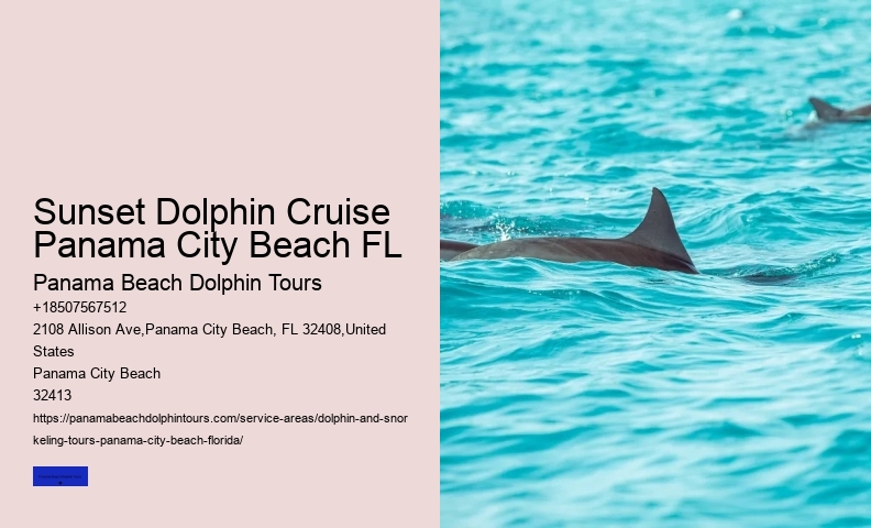 Boat Excursions