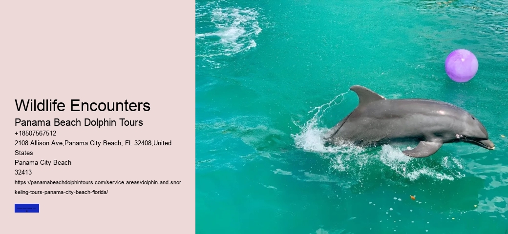 Panama CityFlorida Boat Rentals